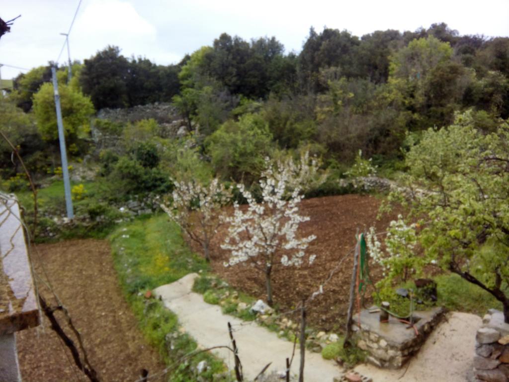 Holiday Home Loznati ツレス エクステリア 写真