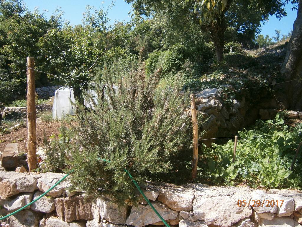 Holiday Home Loznati ツレス エクステリア 写真