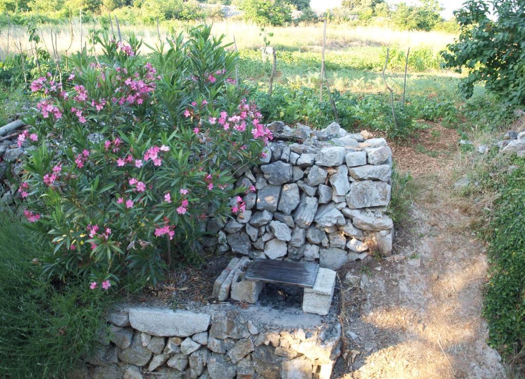 Holiday Home Loznati ツレス エクステリア 写真