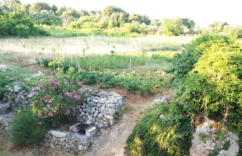 Holiday Home Loznati ツレス エクステリア 写真